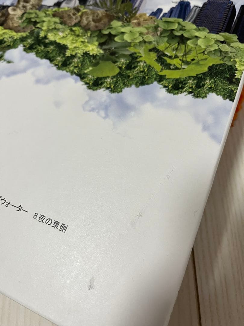 サカナクション　レコードLP4枚セット