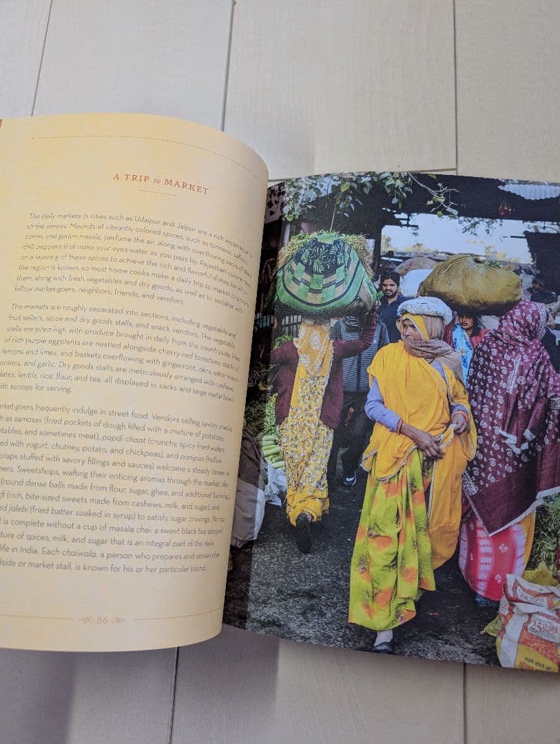 PATTERNS of INDIA 洋書　日本未発売　インド　写真集　美品