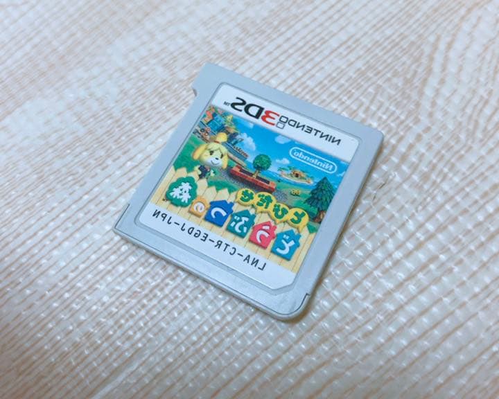 3DS とびだせどうぶつの森