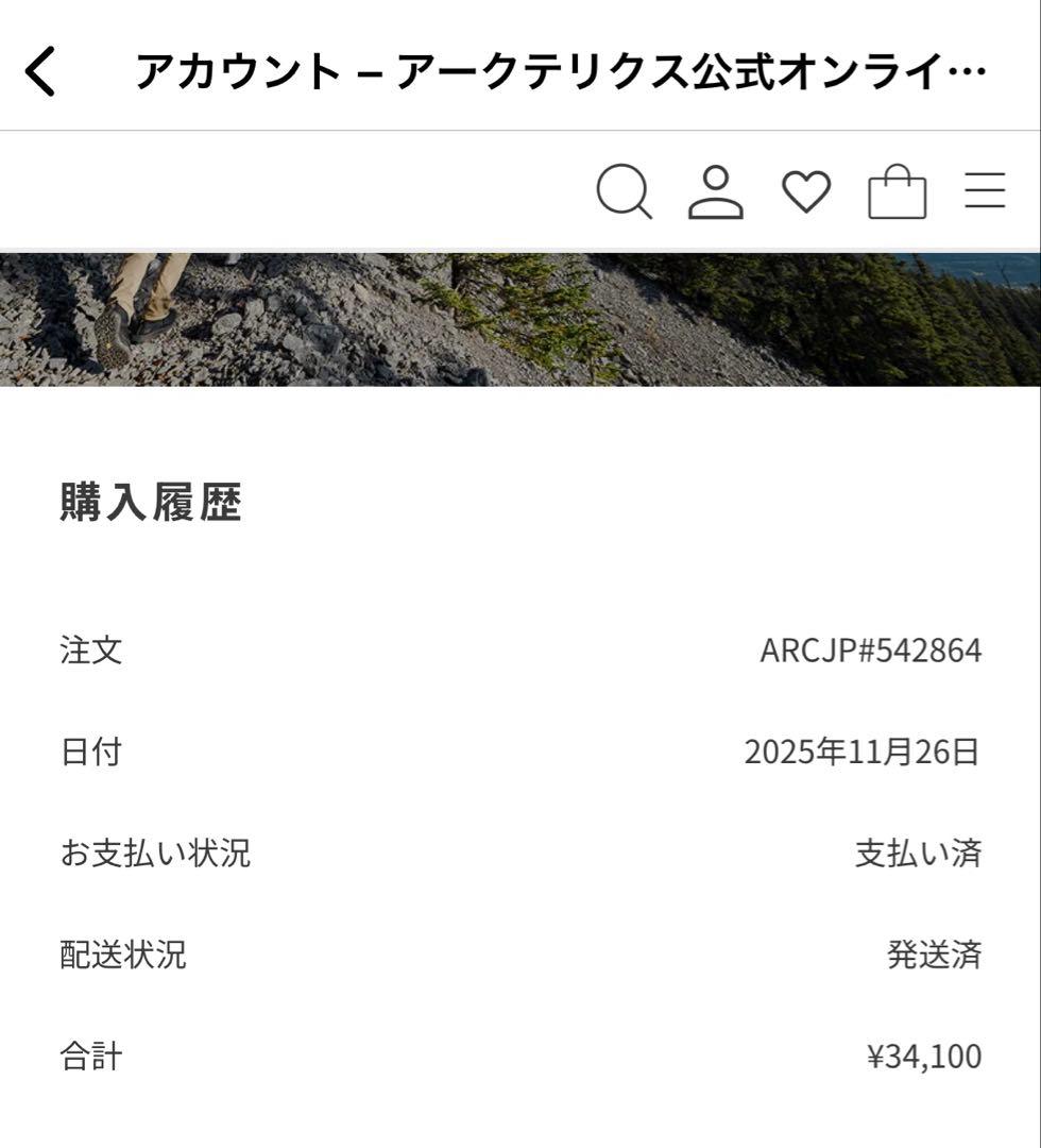【新品同様】ARC’TERYX Atom Vest Lサイズ