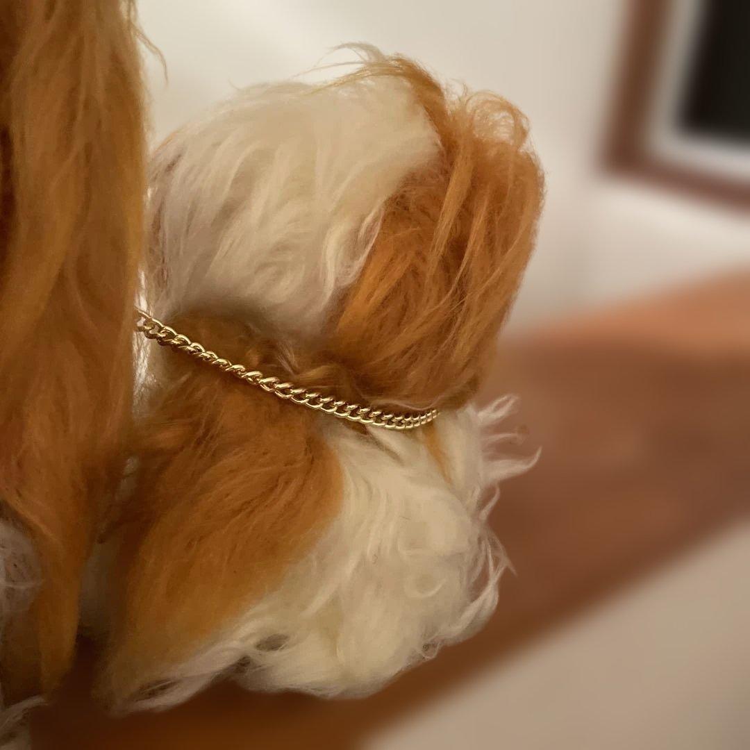 昭和レトロ　犬　わんちゃん　ぬいぐるみ　親子　レトロポップ　希少　当時物