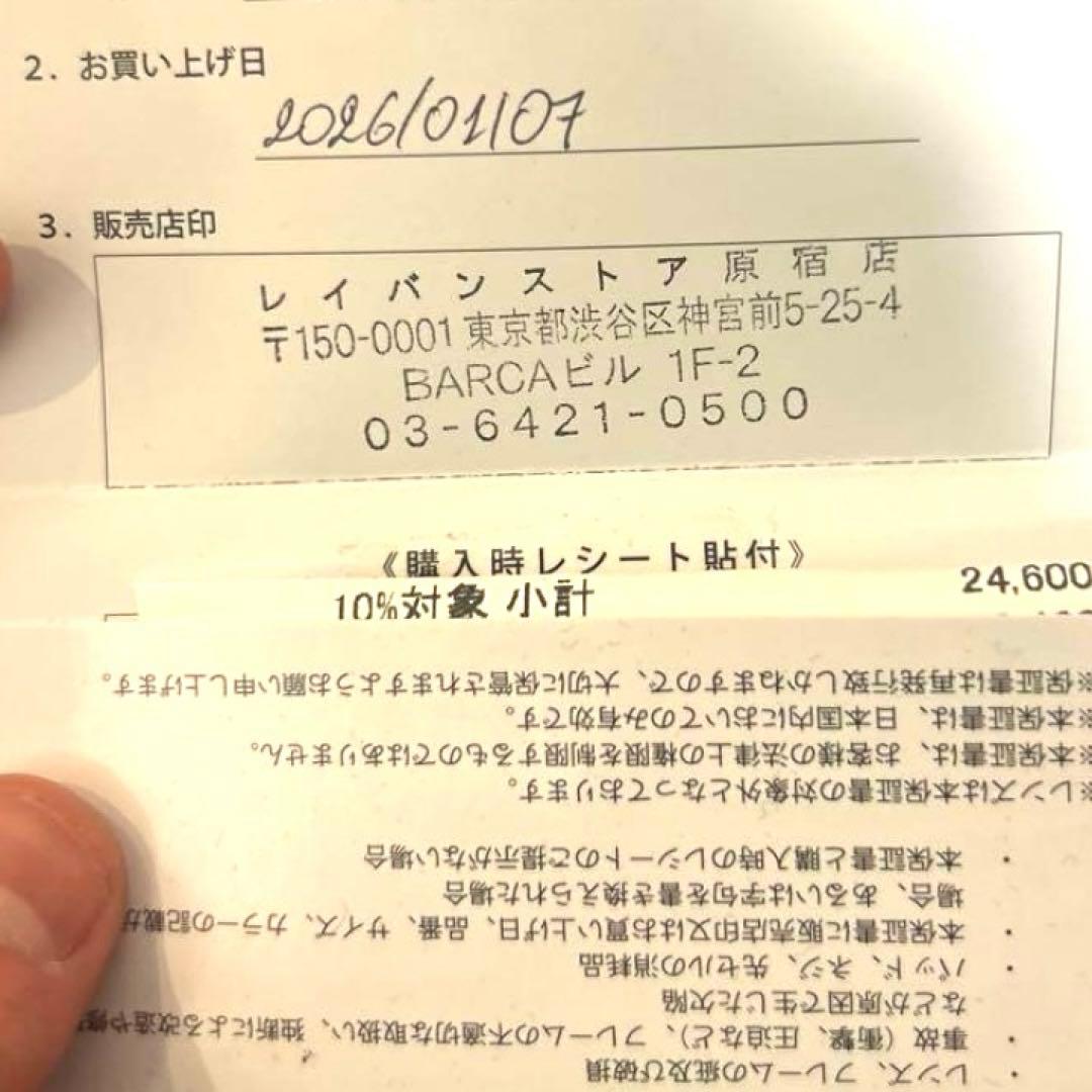 大人気モデル⭐︎ RayBan レイバン RB4258F ライトグレー