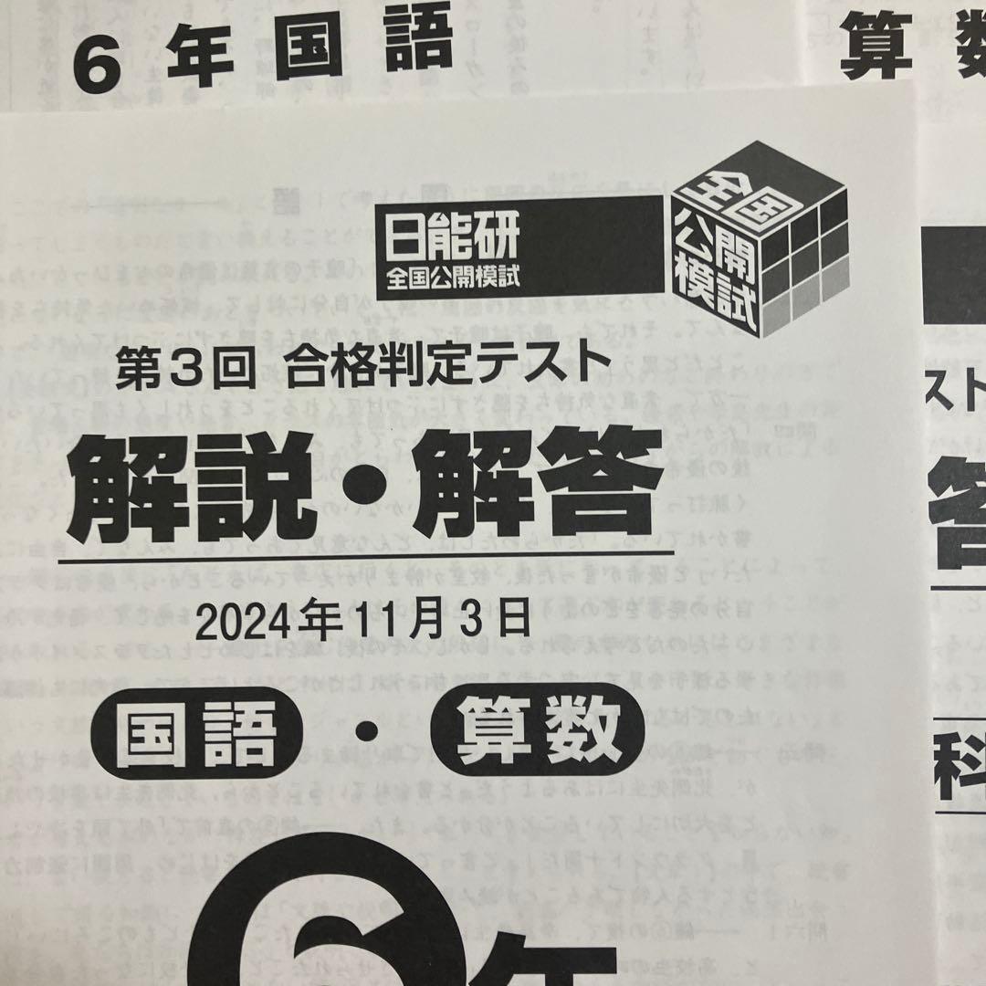 中学受験　日能研　全国公開模試 6年生 解説・解答集　2024年度　2セット
