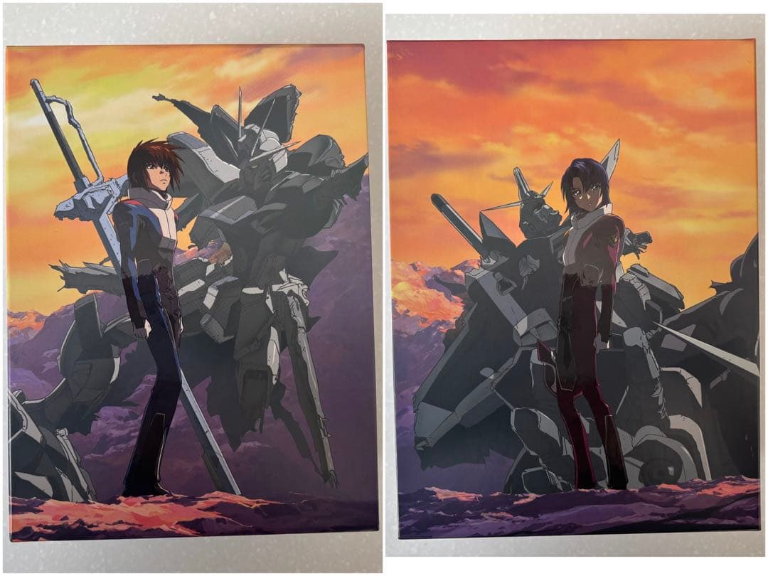 機動戦士 ガンダムSEED DESTINY DVD 全13巻