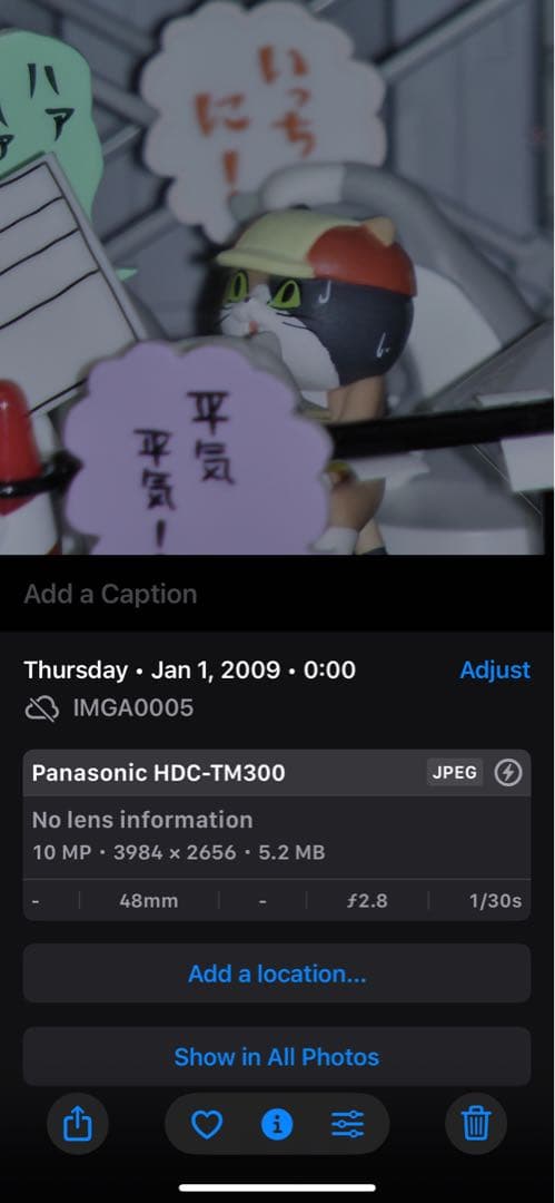 Panasonic ビデオカメラ HDC-TM300 動作品　作例あり元箱充電器