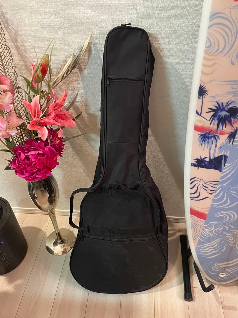 グレッチ　エレクトロマチック　GRETSCH レフト　希少　シルバー　CYG美品