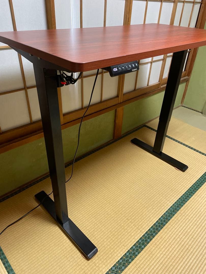FLEXISPOT EF1B-JA 電動昇降デスク 120×60 動作確認済