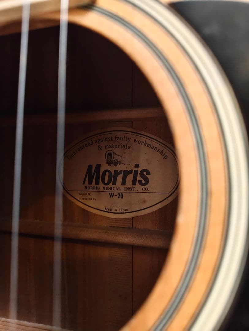 Morris モーリス W-20 アコースティックギター