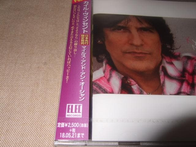KYLE VINCENT,新品未開封,カイル・ヴィンセント,BAY CITY