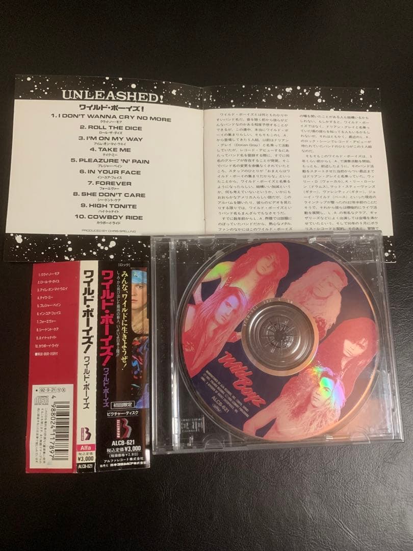 洋楽 wild boyz