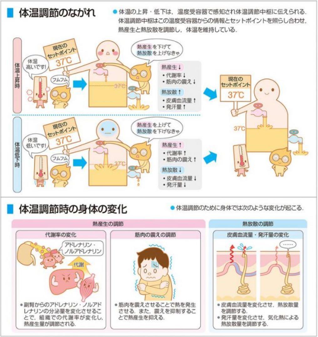 看護がみえる 全5巻セット