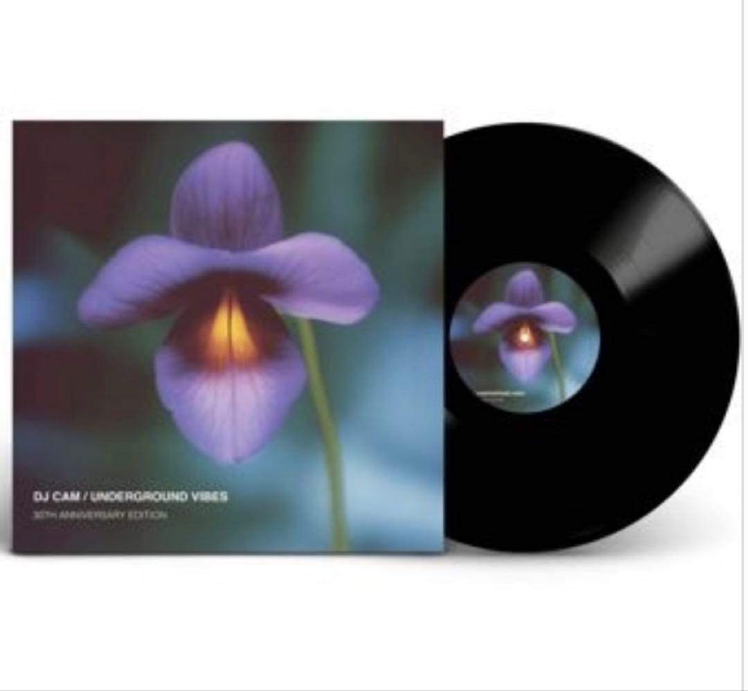 新品未開封 DJ Cam Underground Vibes 発売30周年限定盤