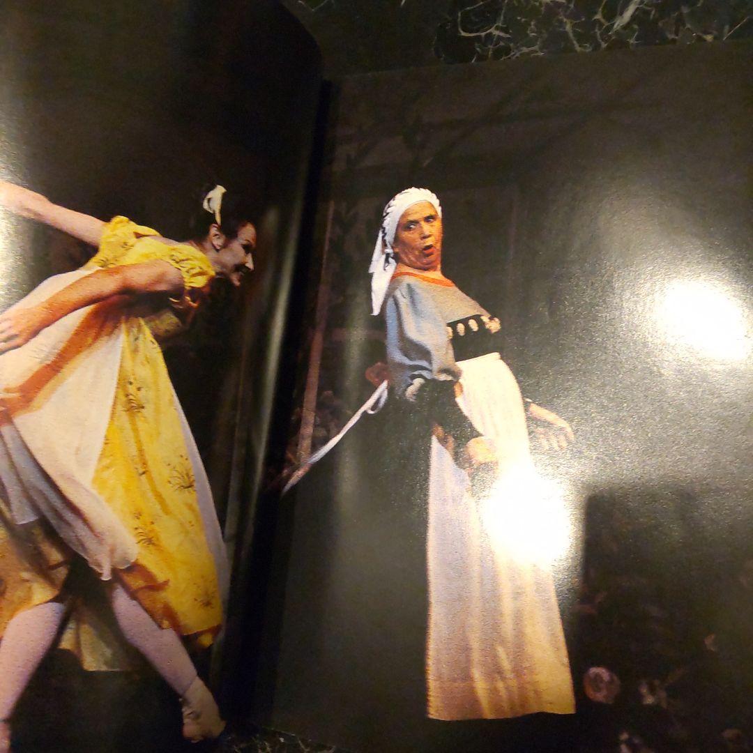 The Australian Ballet 25 Years 洋書 バレエ 海外