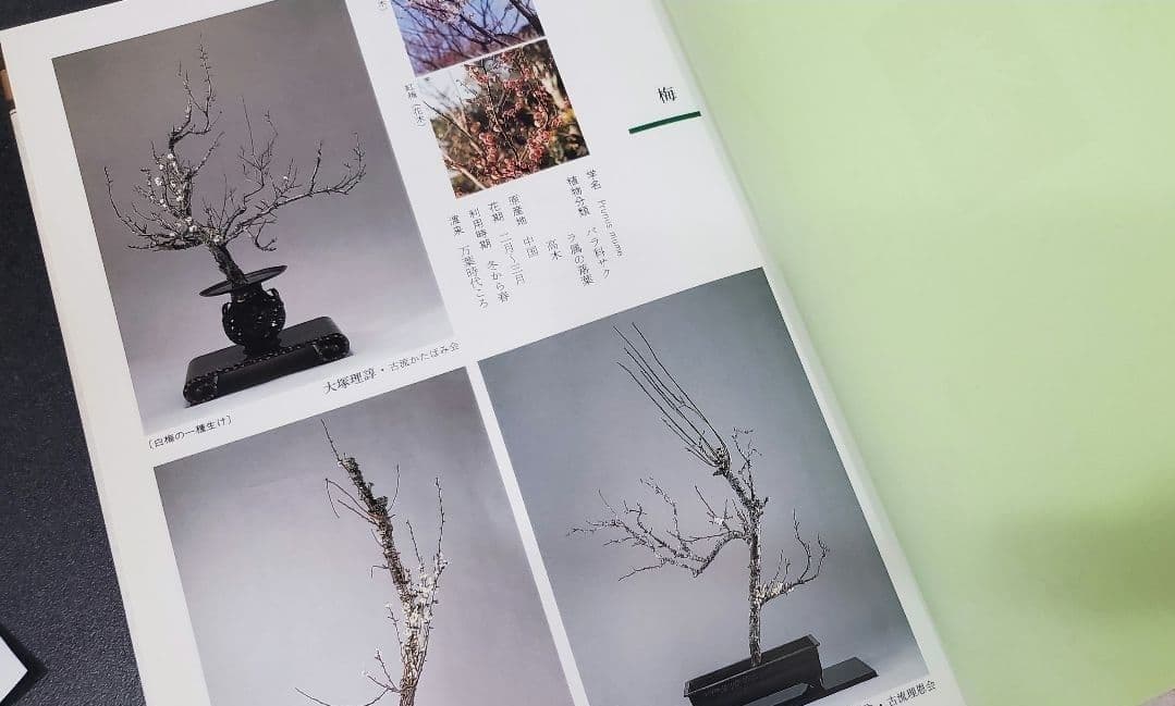 ☆早い者勝ち☆ 作例、文献付 生花格花花材事典 講談社 新品未使用