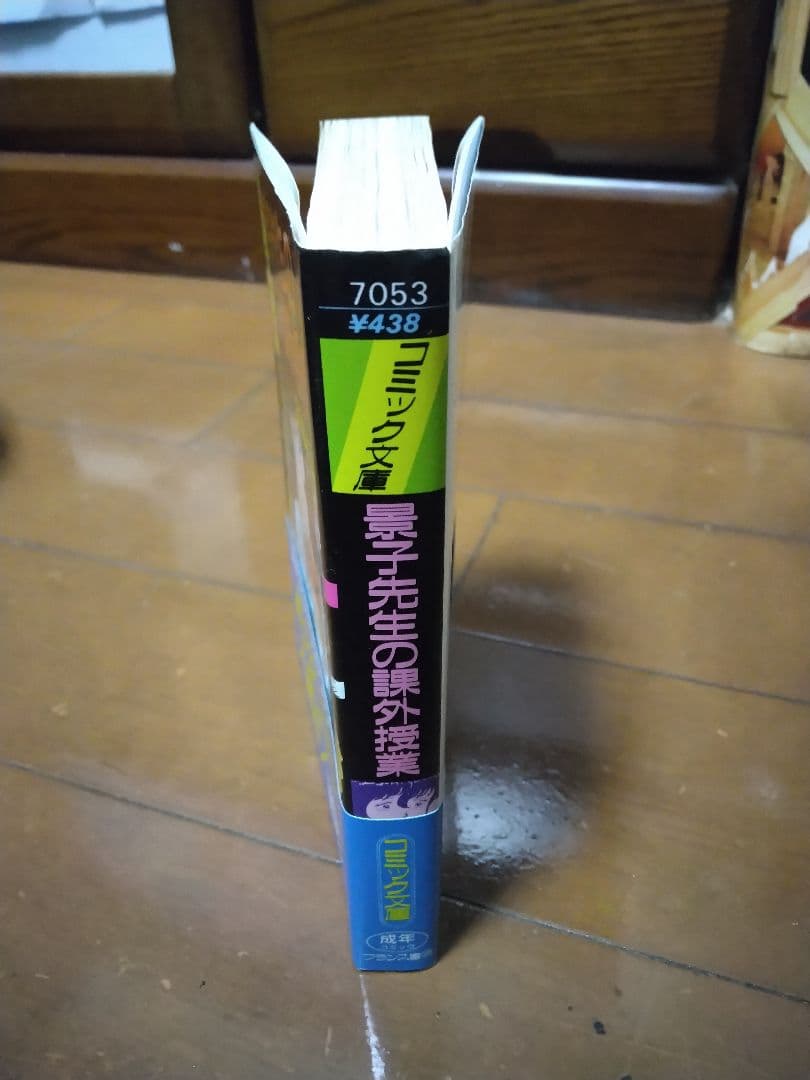景子先生の課外授業１ コミック文庫　まいなぁぼぉい