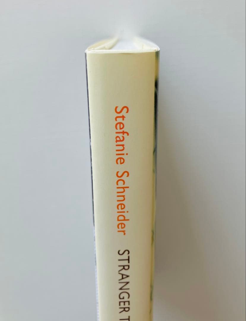 Stefanie Schneider 写真集　ポラロイド　フィルムカメラ　洋書