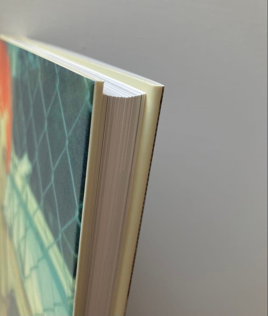 Stefanie Schneider 写真集　ポラロイド　フィルムカメラ　洋書