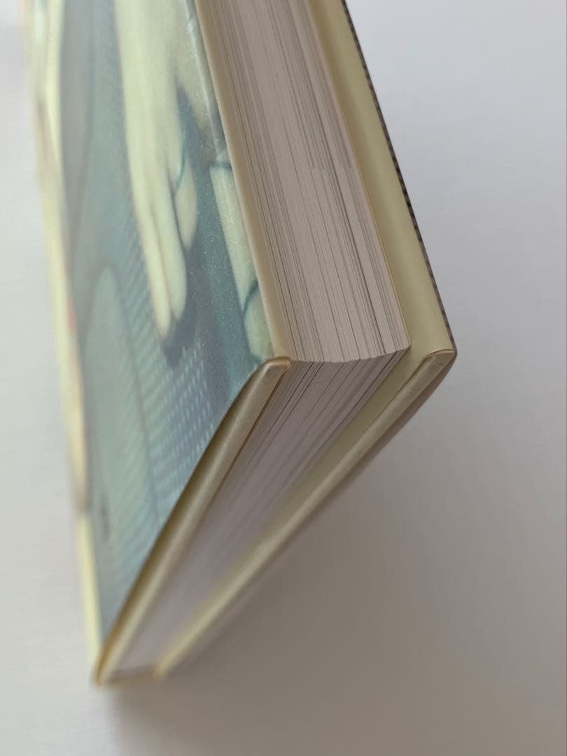 Stefanie Schneider 写真集　ポラロイド　フィルムカメラ　洋書