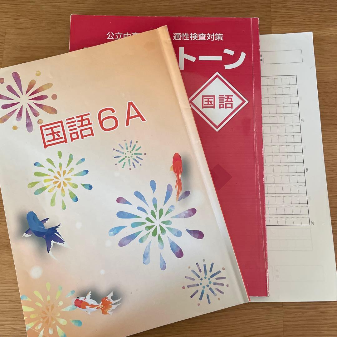 水都国際　咲くやこの花　開成教育セミナー　6年生　テキスト　まとめ　中学受験