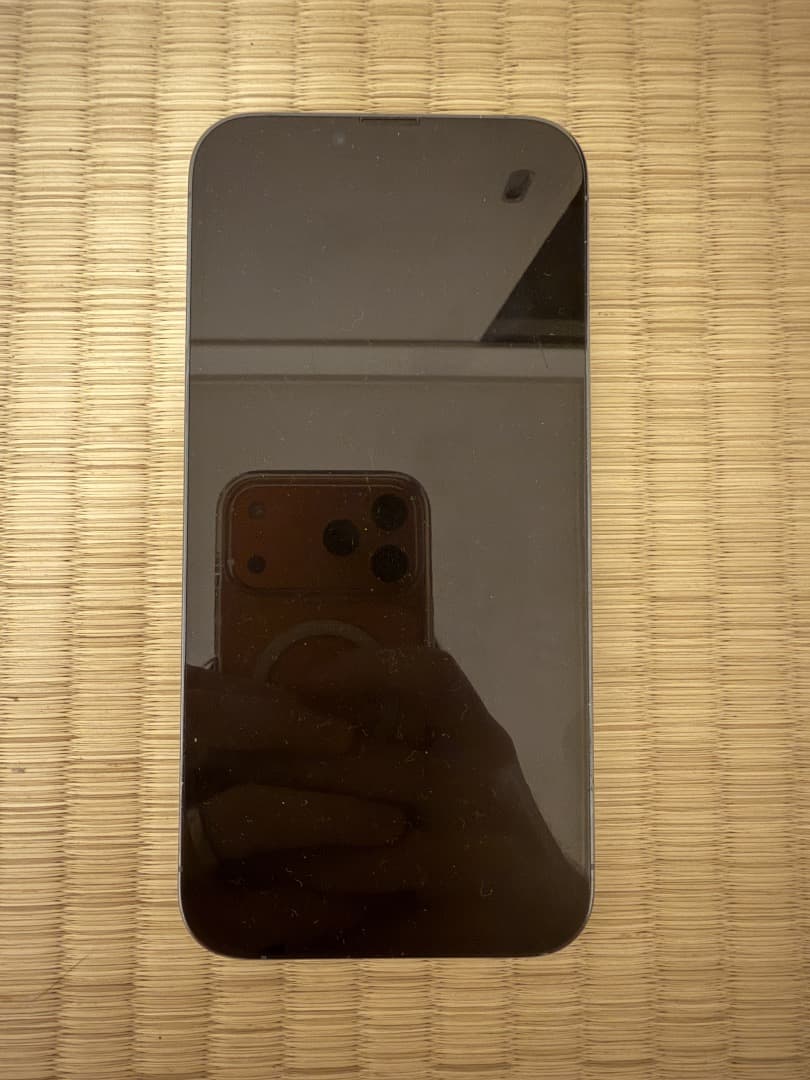 iPhone 13 Pro Max 256GB シエラブルー SIMフリー