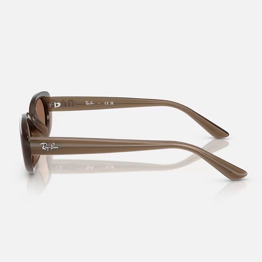 Ray-Ban ブラウン サングラス ケースなし