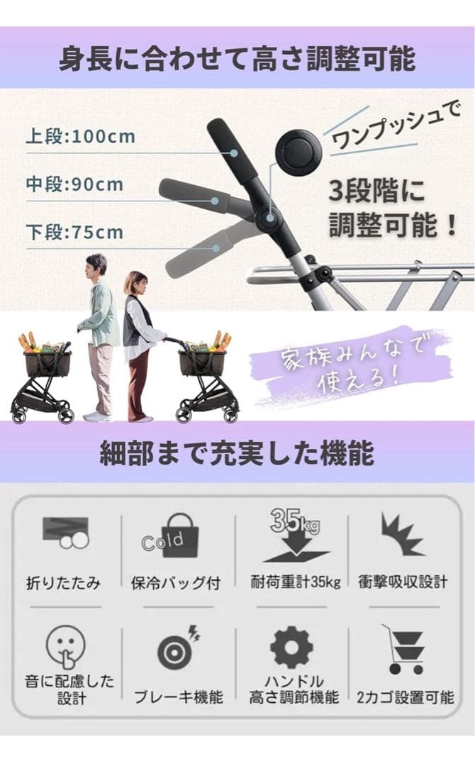 EcoCa エコカエクセラ 【保冷バッグ2個セット】 ショッピングカート 台車