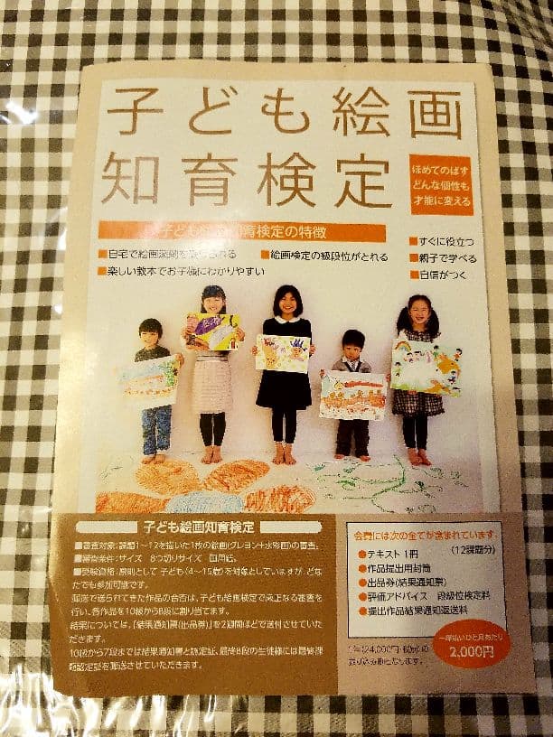 自宅で子ども絵画添削(通信講座12回分)知育検定セット