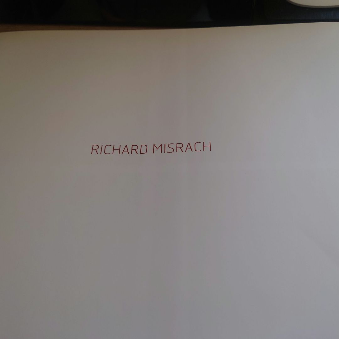 アート・デザイン・音楽 RICHARD MISRACH Golden Gate