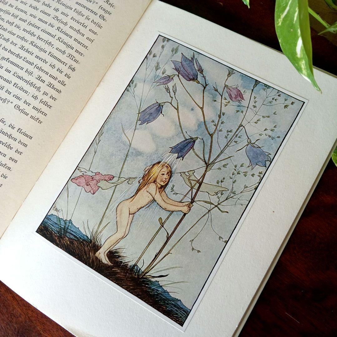 洋書古書　1941年　エルゼヴェンツの美しい画集　ドイツ　児童書　ヴィンテージ