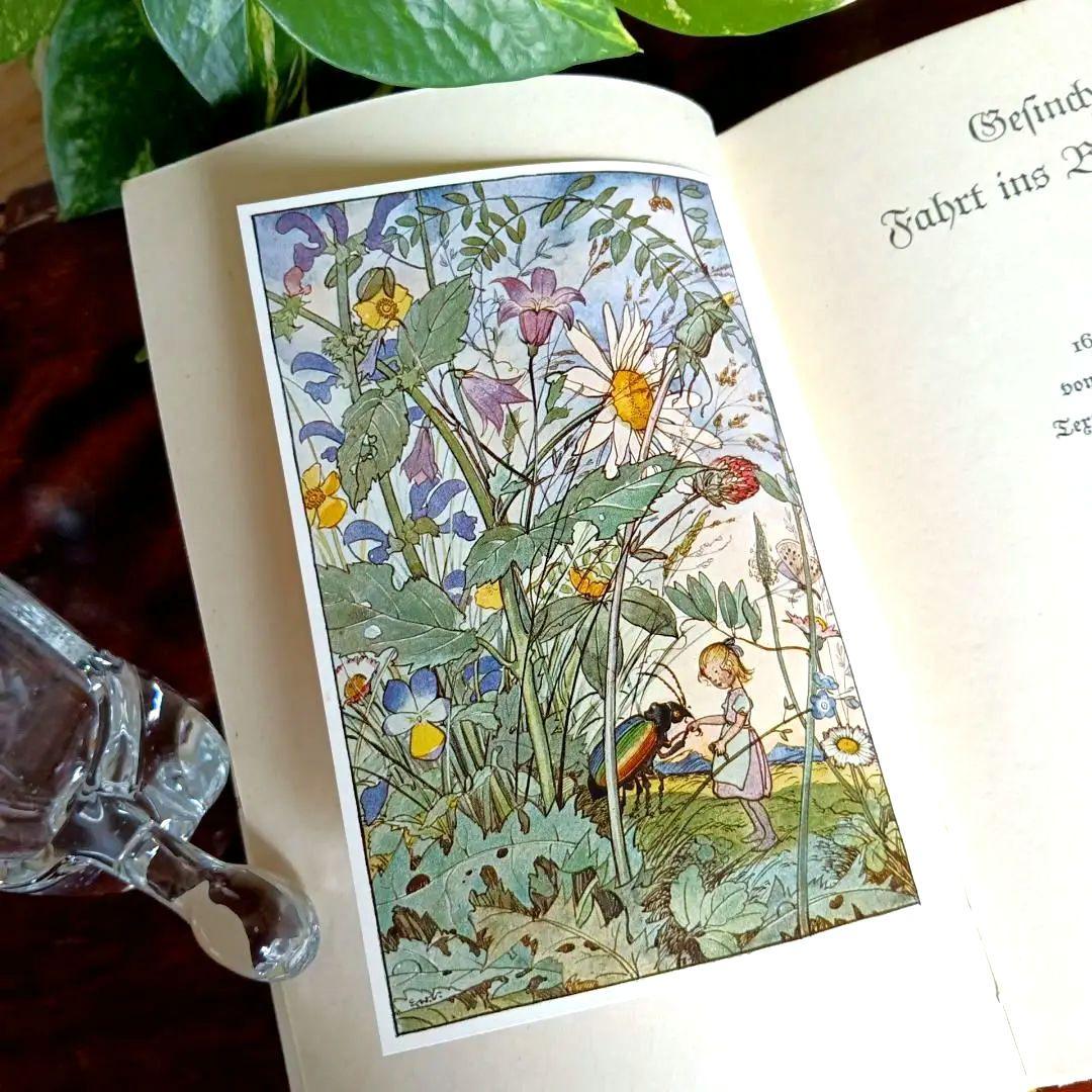 洋書古書　1941年　エルゼヴェンツの美しい画集　ドイツ　児童書　ヴィンテージ