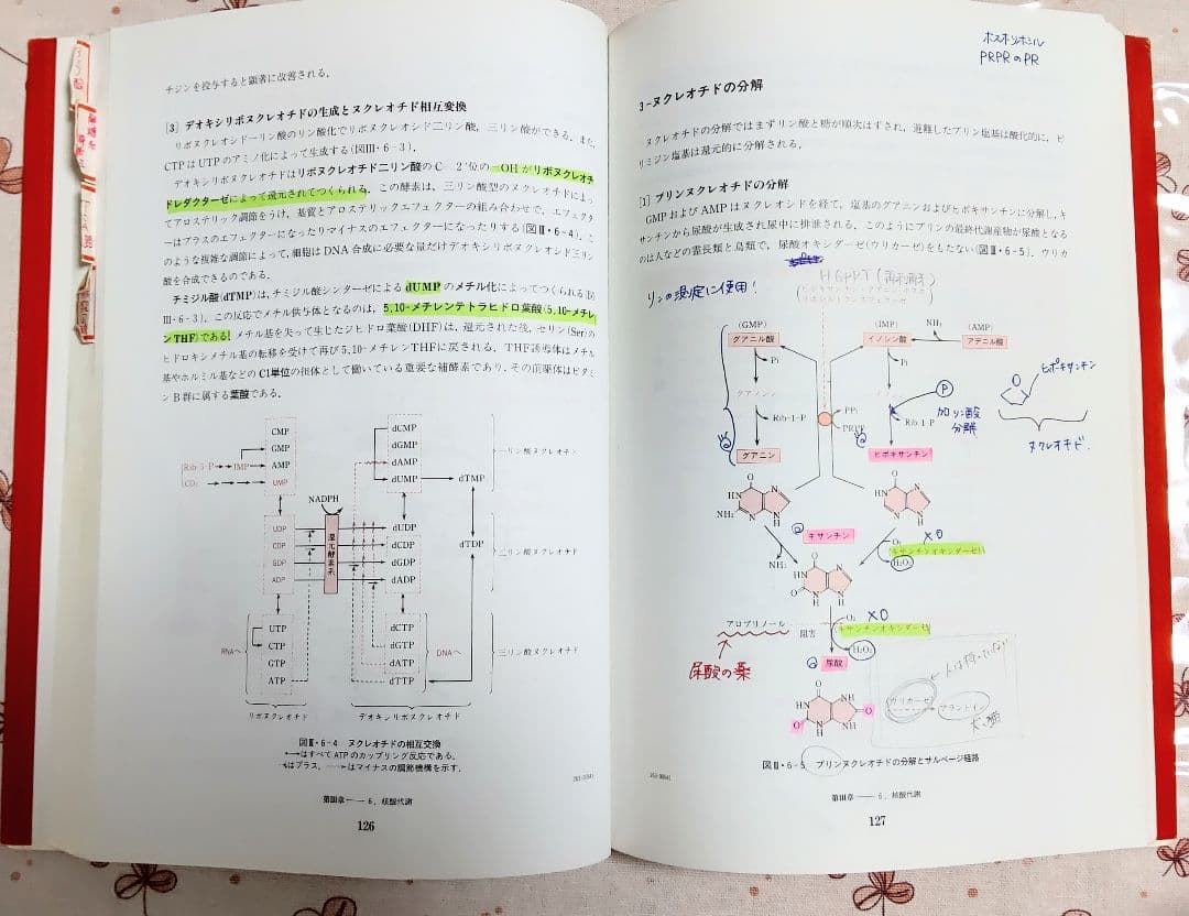 臨床検査技師 臨床検査学講座 【 １４冊セット】 医歯薬出版株式会社