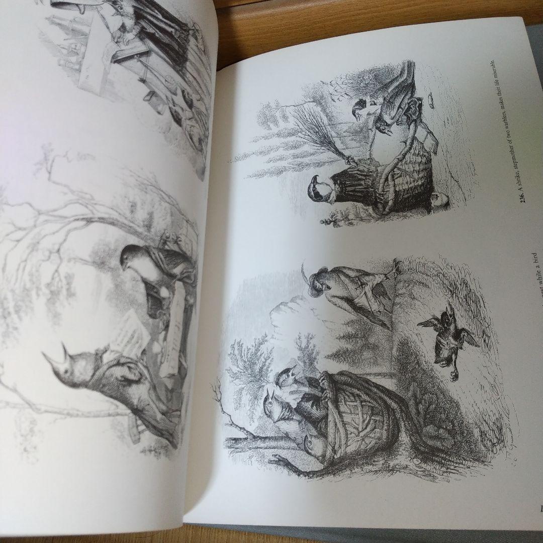 洋書 Bizarreries and Fantasies of Grandville