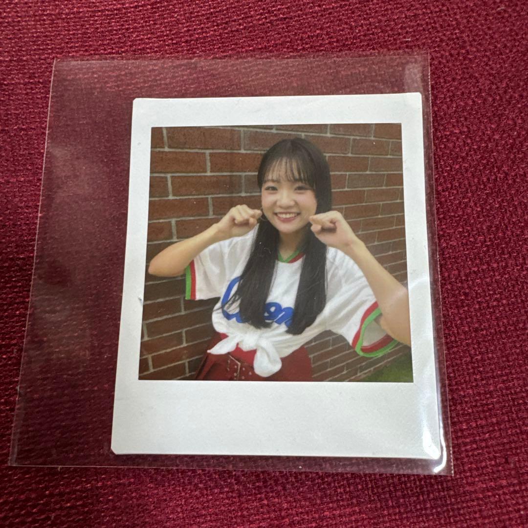 bluelegends写真集 チェキ　Kotono
