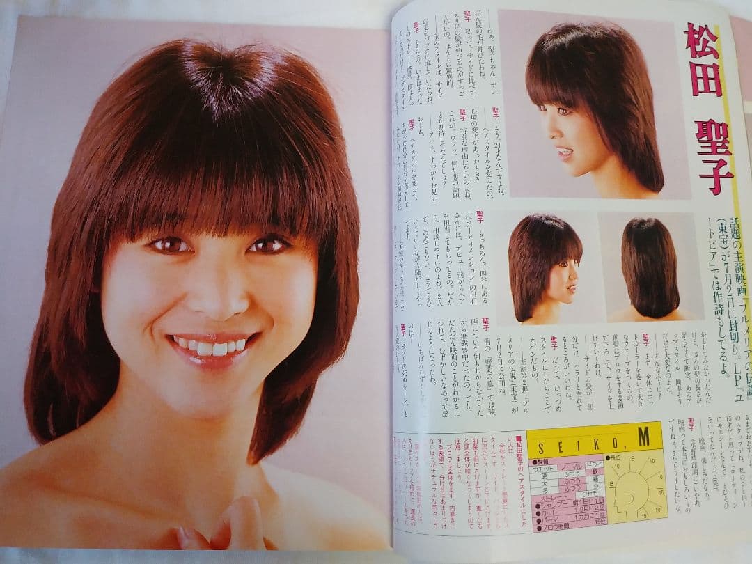 明星ヘアカタログ '83 夏の号　 希少品　レア