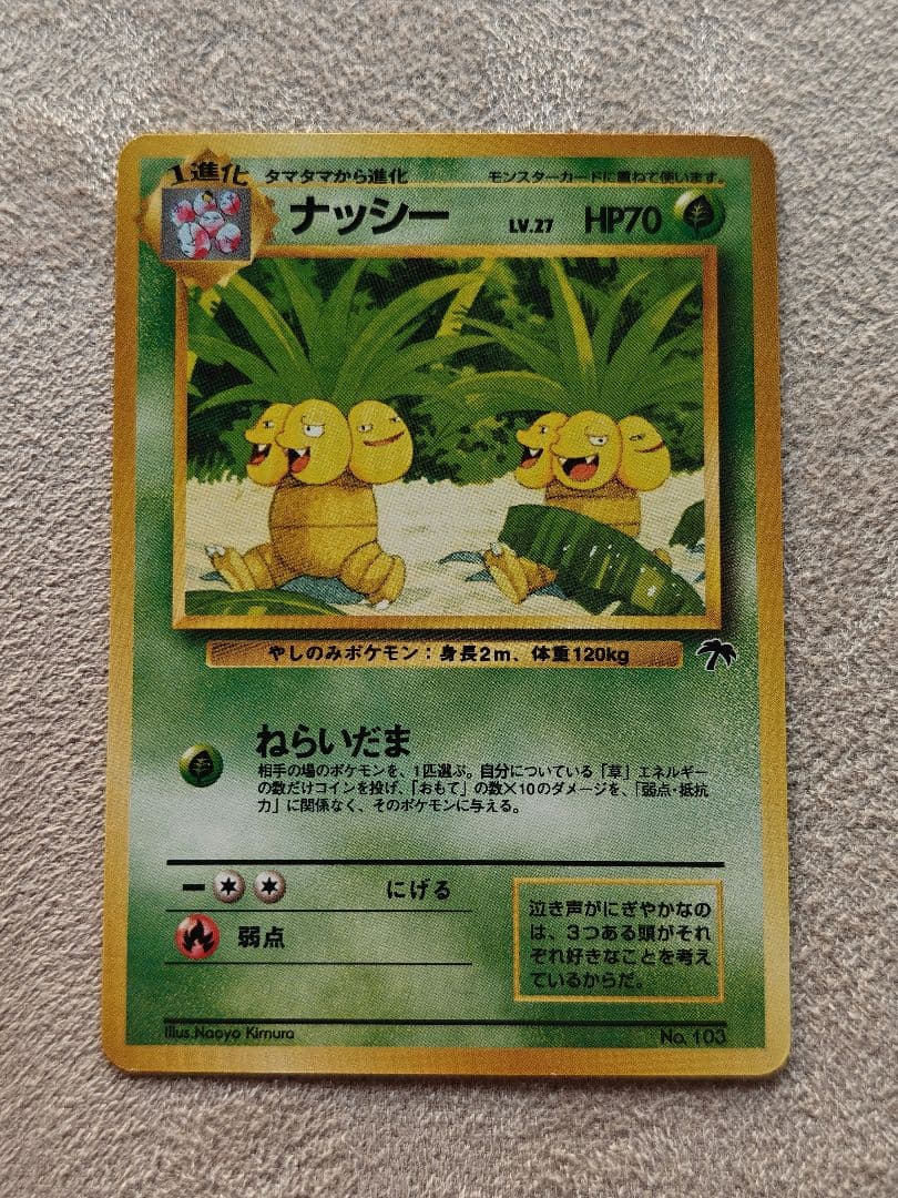 旧裏 ポケモンカード　サザンアイランド　トロピカルアイランド　海辺