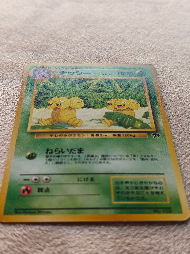 旧裏 ポケモンカード　サザンアイランド　トロピカルアイランド　海辺