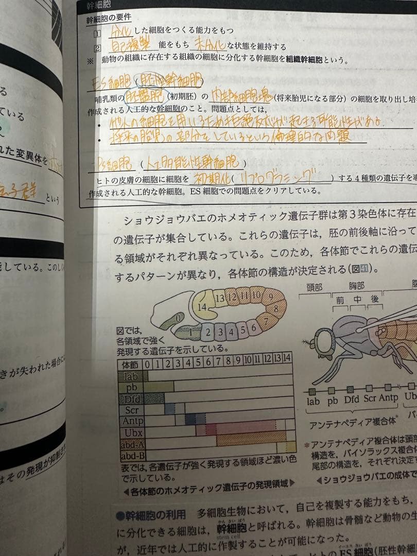鉄緑会 入試生物確認シリーズ 高3