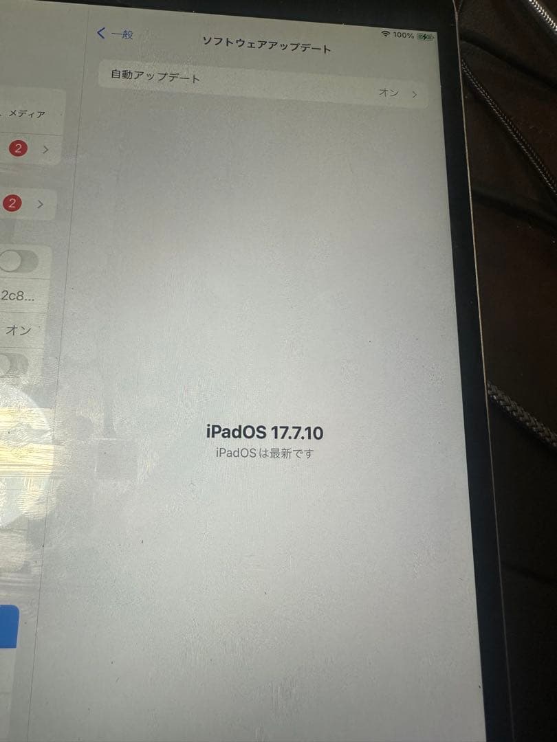 a*2様 iPad Pro (10.5インチ) 512GB