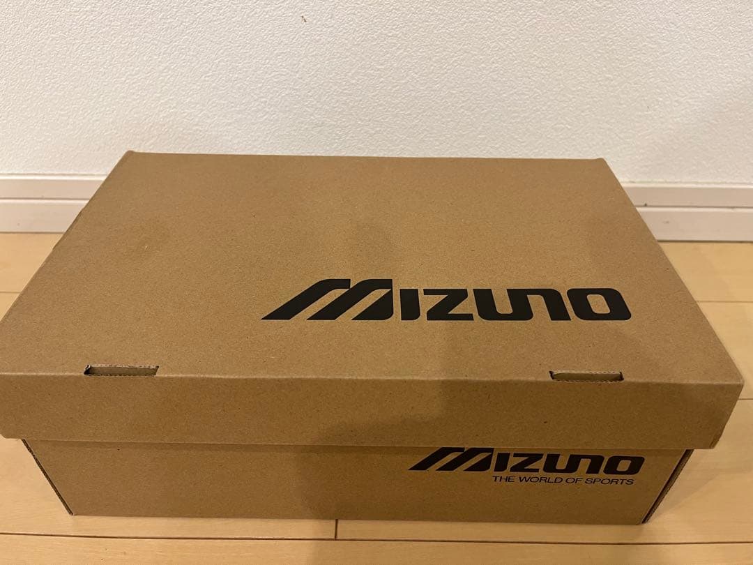 靴 mizuno wave prophecy moc gore-tex 25.5cm