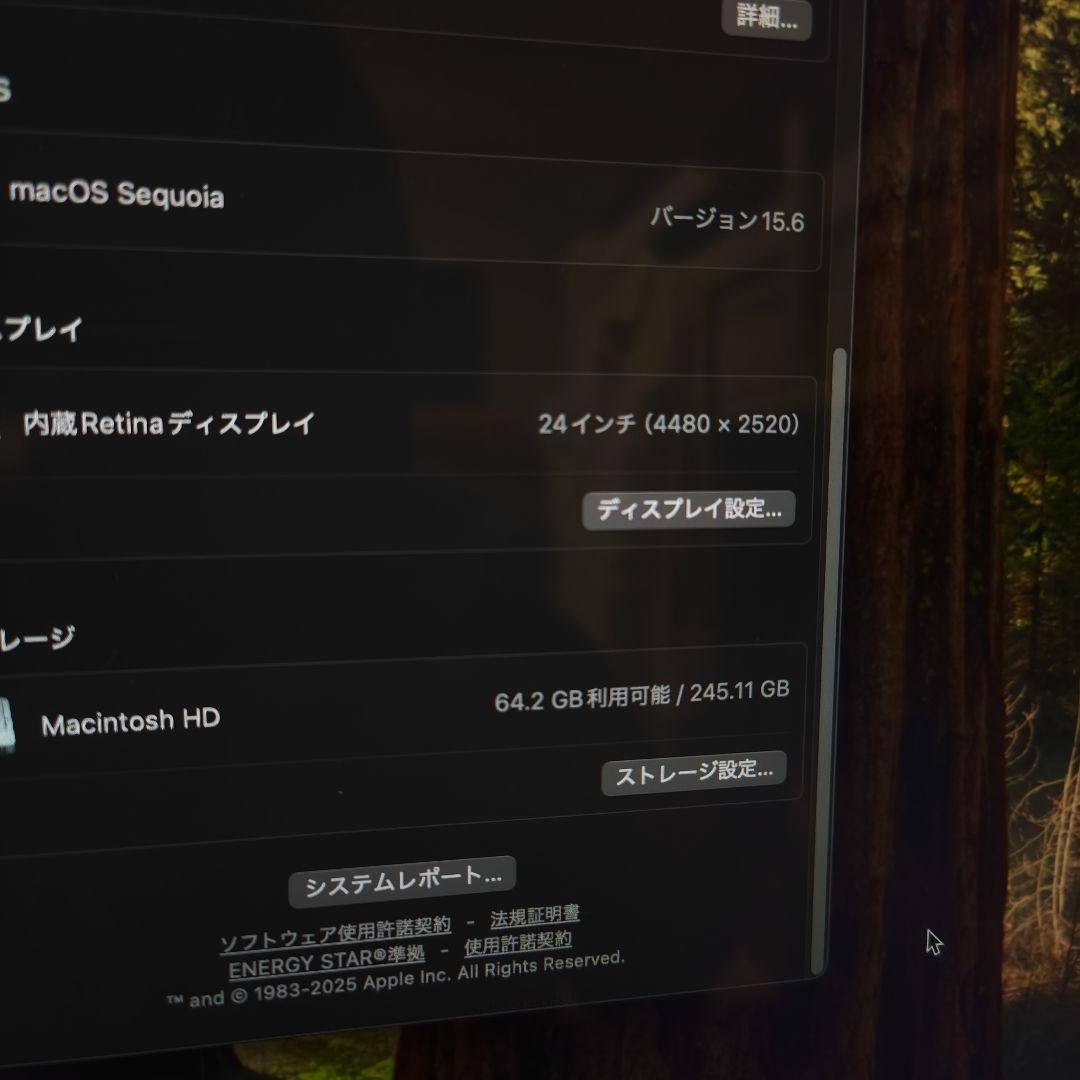 Apple iMac 24インチ M1 2021 8GB 256GB グリーン