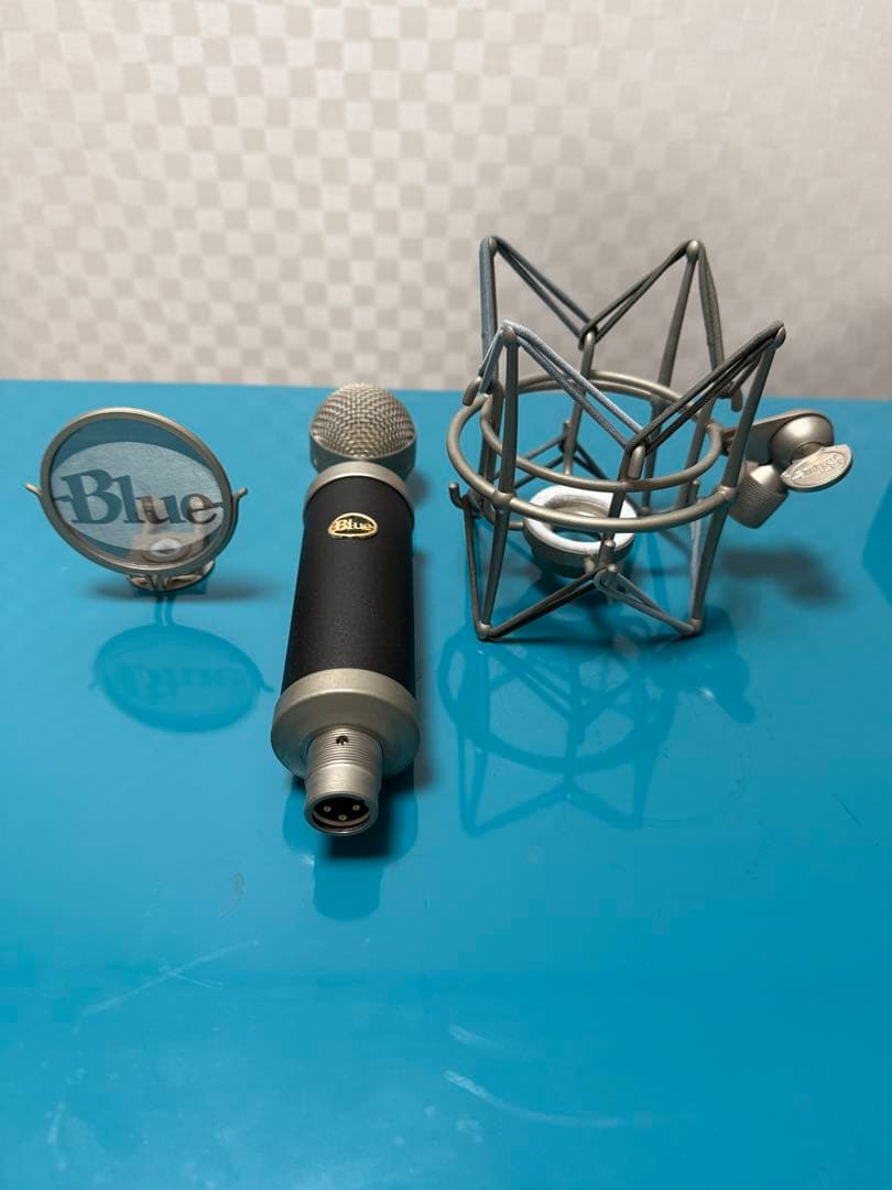 Blue Baby Bottle コンデンサーマイク