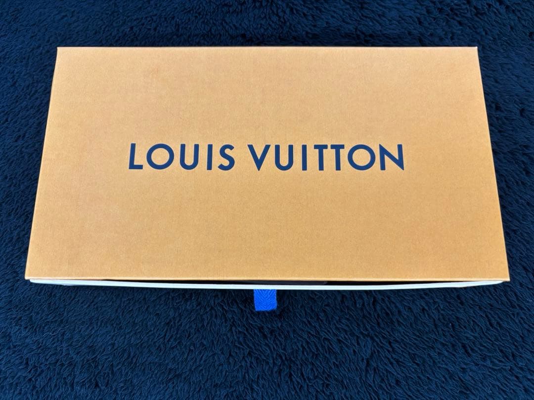 LOUIS VUITTON ルイヴィトン ダミエ ニット帽 ビーニー グレー系