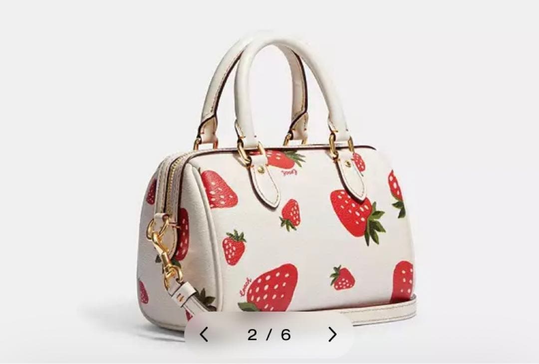 即決早いもの勝ち　COACH いちごset 二つ折り財布&バック