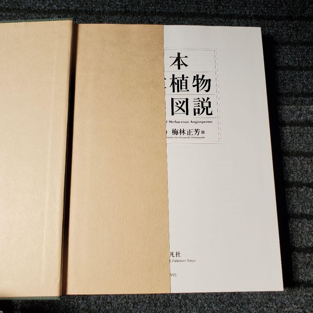 日本草本植物根系図説
