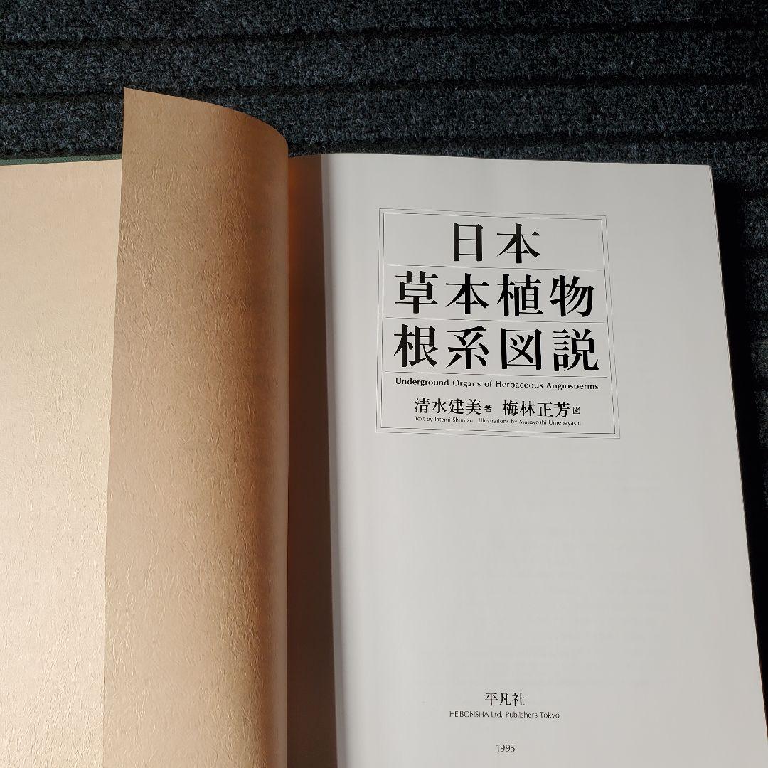 日本草本植物根系図説