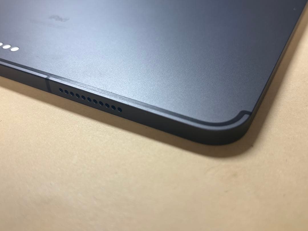 極美品iPadPro12.9 第5世代 256GB wifi+cellular