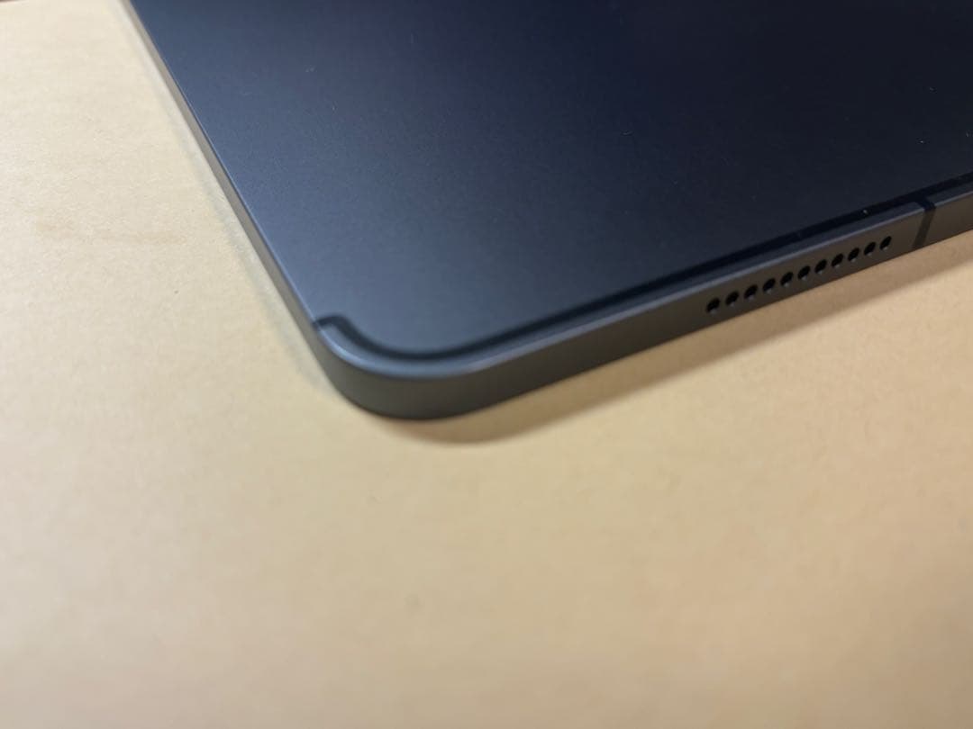 極美品iPadPro12.9 第5世代 256GB wifi+cellular