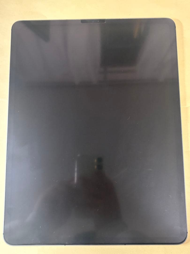 極美品iPadPro12.9 第5世代 256GB wifi+cellular