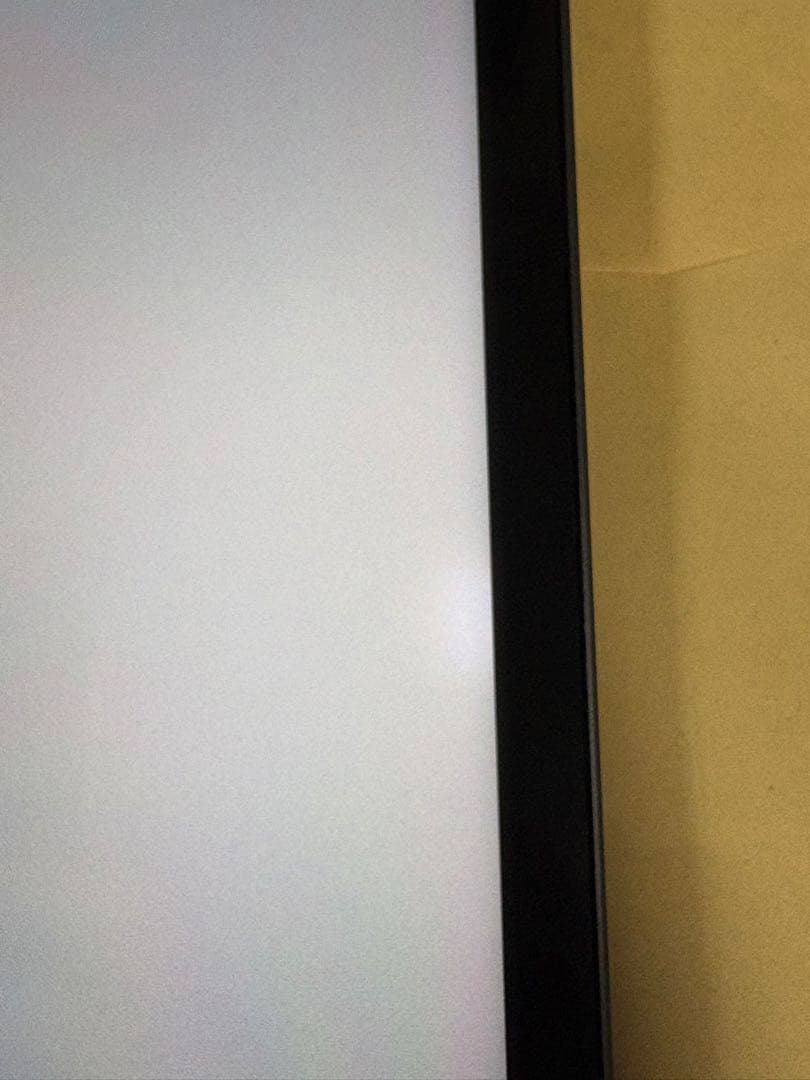 極美品iPadPro12.9 第5世代 256GB wifi+cellular