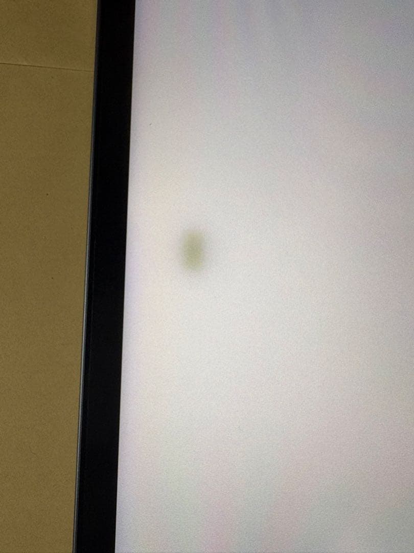極美品iPadPro12.9 第5世代 256GB wifi+cellular